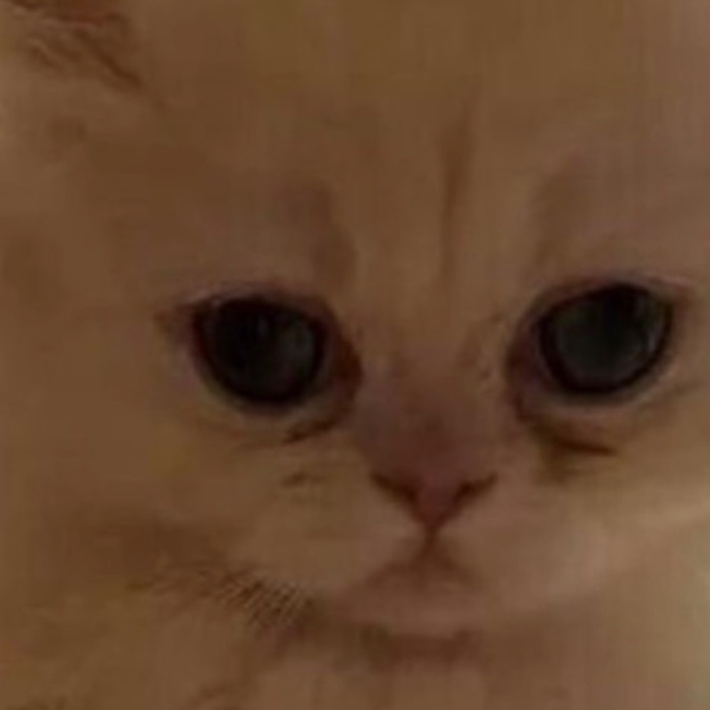 Meet your Posher, Jaime